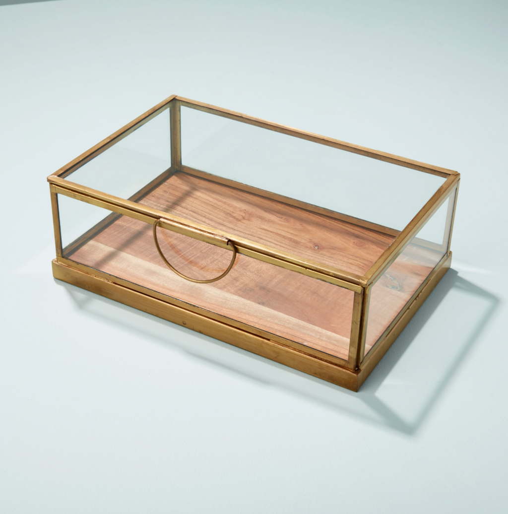 Glass Display Case with Wood Base -Small